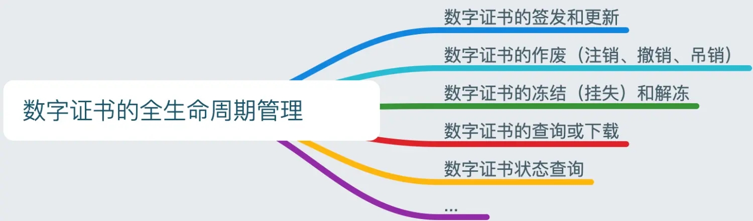3.webp (1).jpg